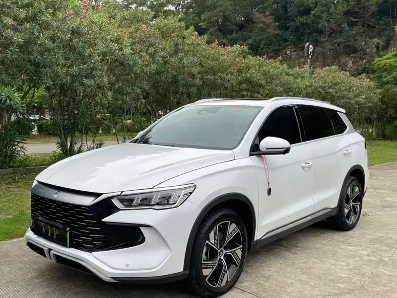 BYD Pro New Energy