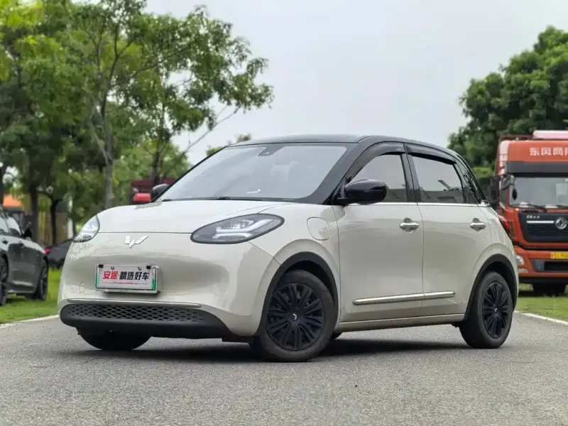 Wuling Bingo