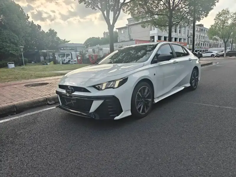 GAC Motor Empow (Shadow Leopard)