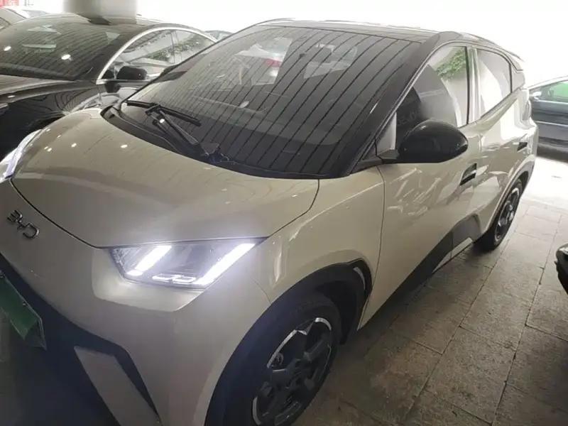 BYD Seagull