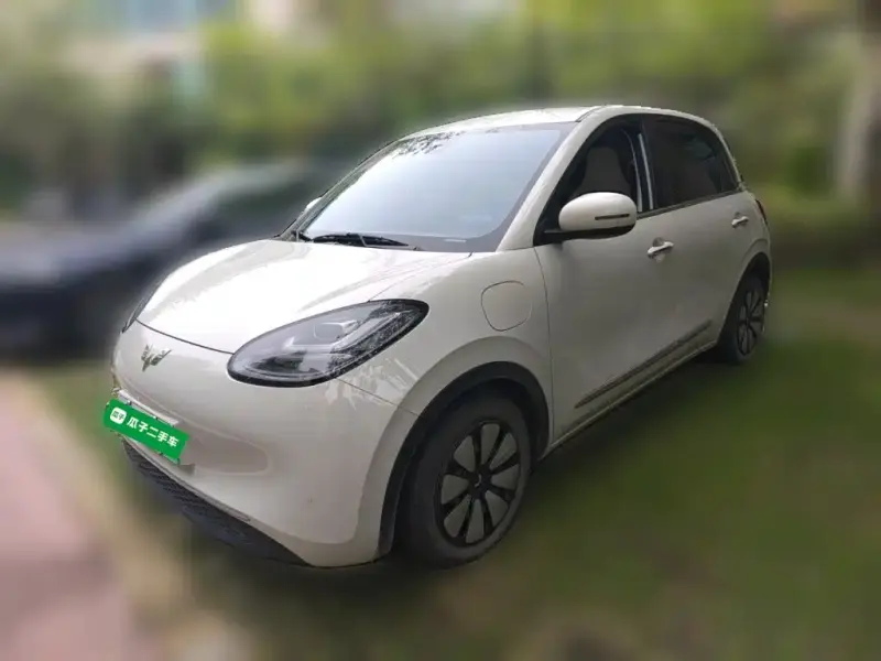 Wuling Bingo