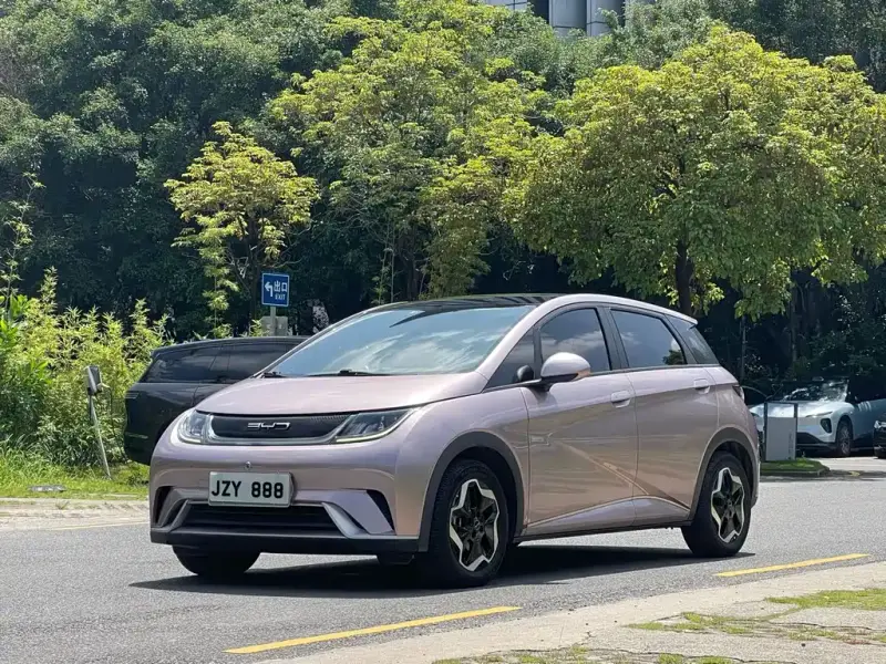 BYD Dolphin