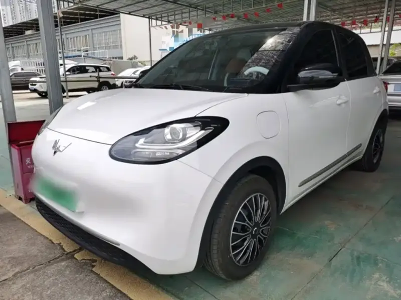 Wuling Bingo