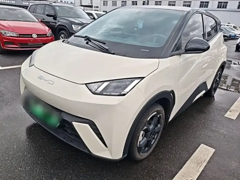 BYD Seagull