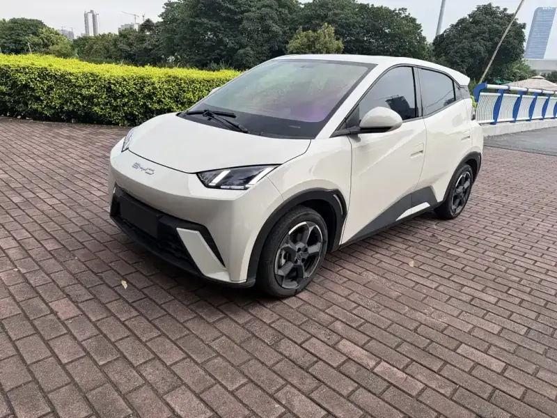 BYD Seagull