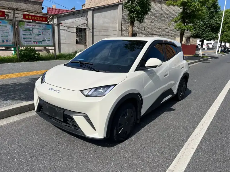BYD Seagull