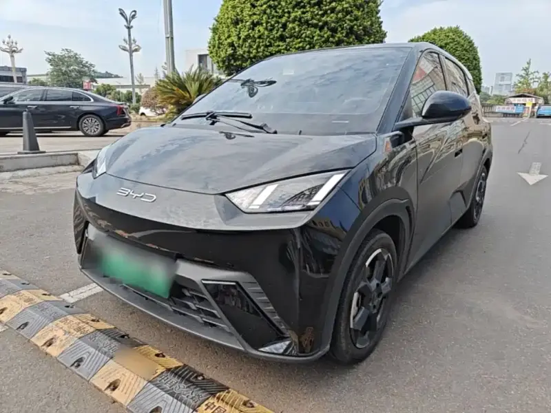 BYD Seagull