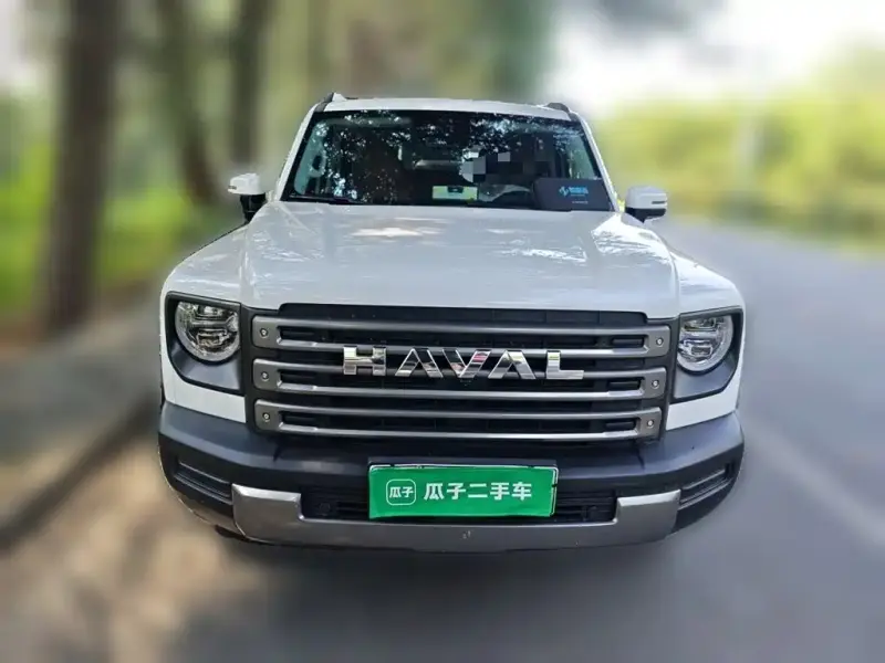 Haval Menglong New Energy