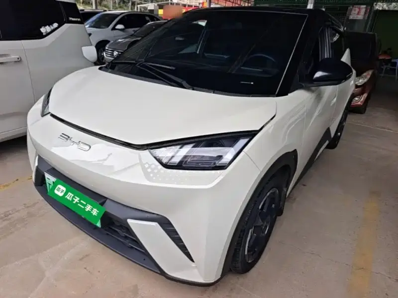 BYD Seagull