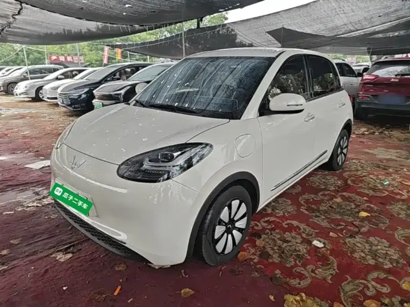 Wuling Bingo