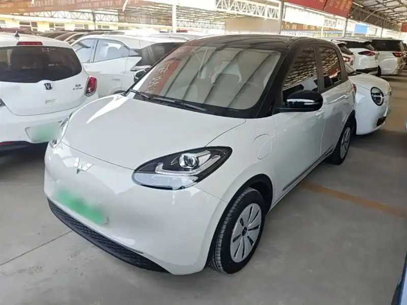 Wuling Bingo