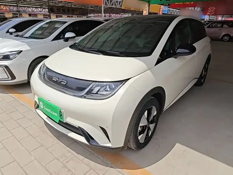 BYD Dolphin