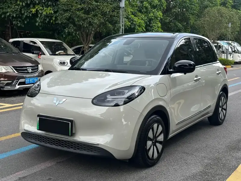 Wuling Bingo