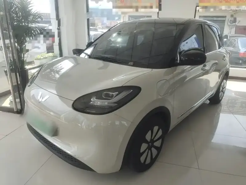 Wuling Bingo