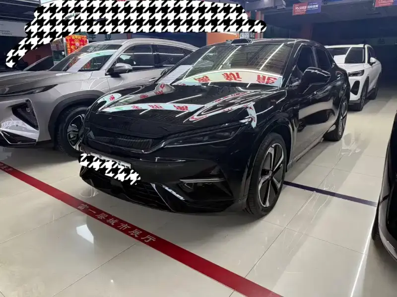 BYD L EV