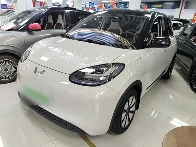 Wuling Bingo