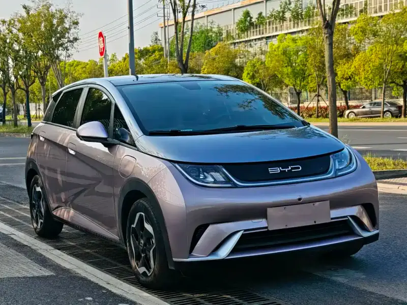 BYD Dolphin