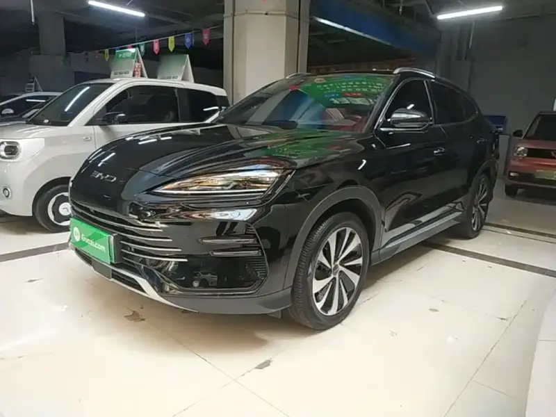 BYD Seal U (PLUS New Energy)