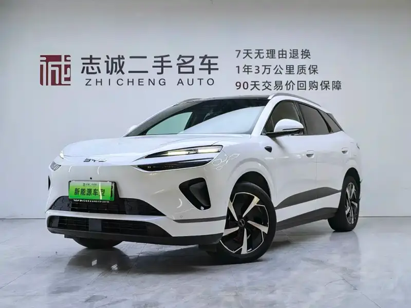 BYD Sea Lion 06