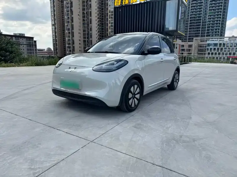 Wuling Bingo