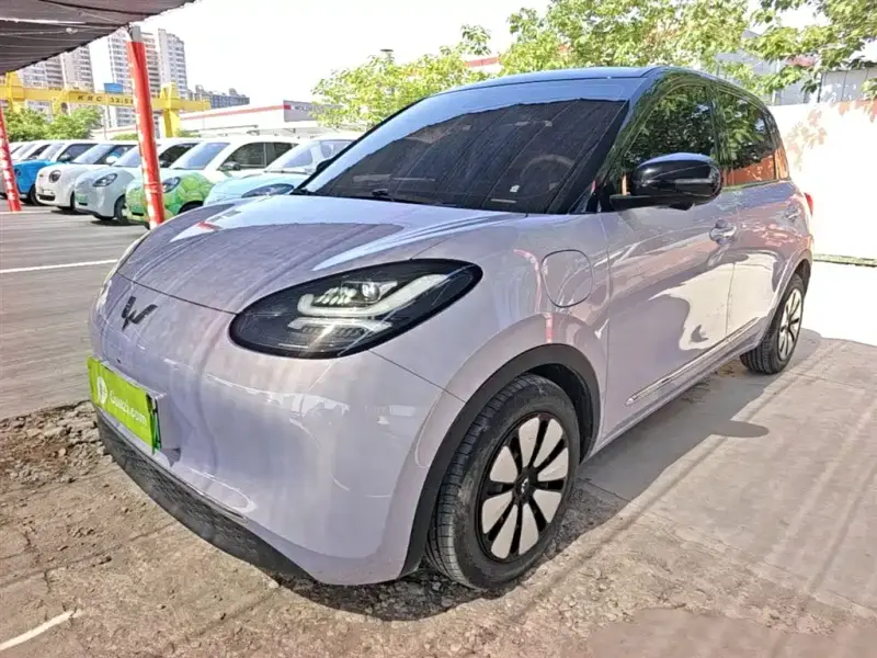 Wuling Bingo