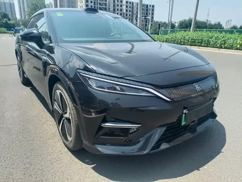 BYD L EV