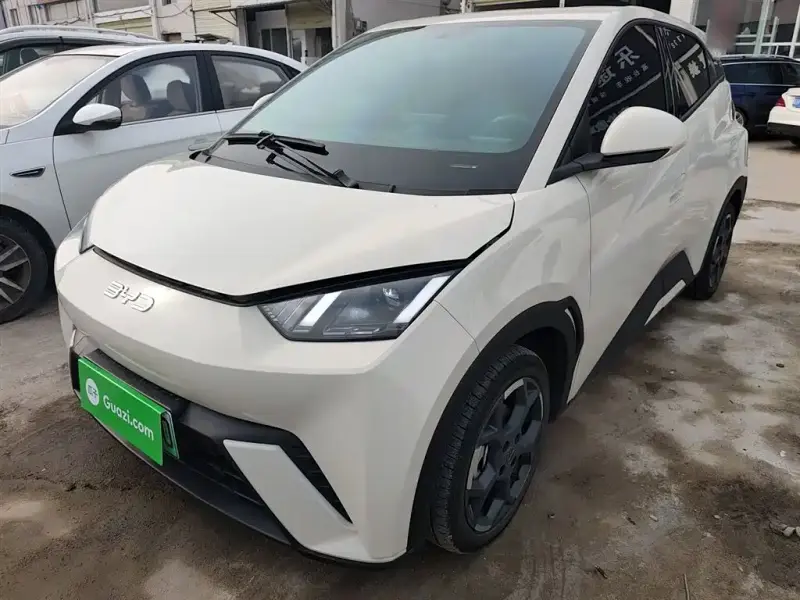 BYD Seagull