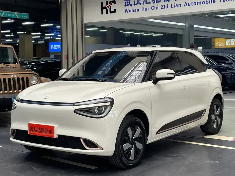 Dongfeng Yipai Nami 01