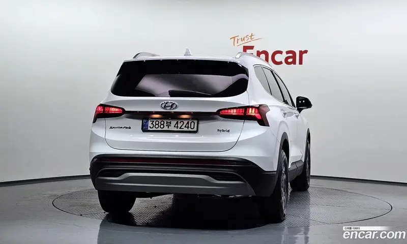 Hyundai Santa Fe (Santafe)