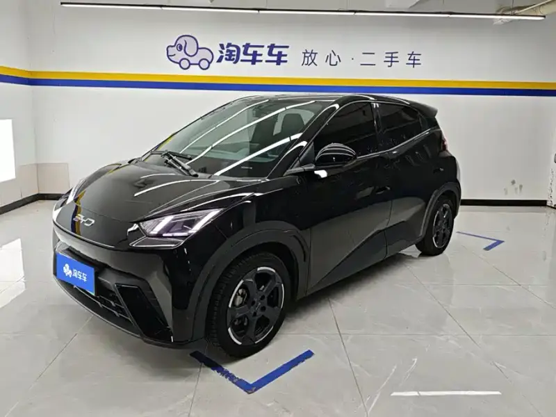 BYD Seagull