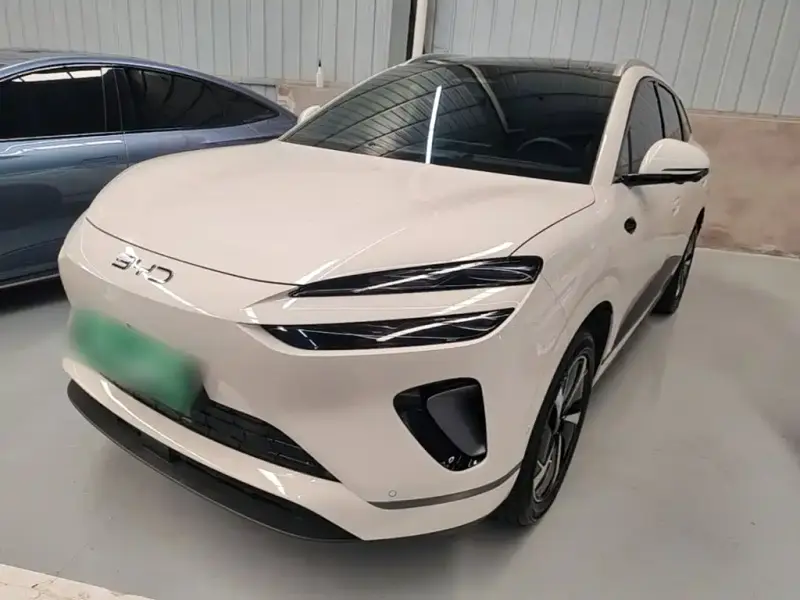BYD Sea Lion 06