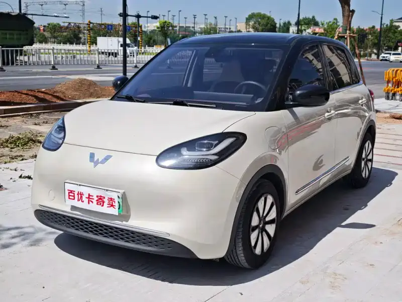 Wuling Bingo