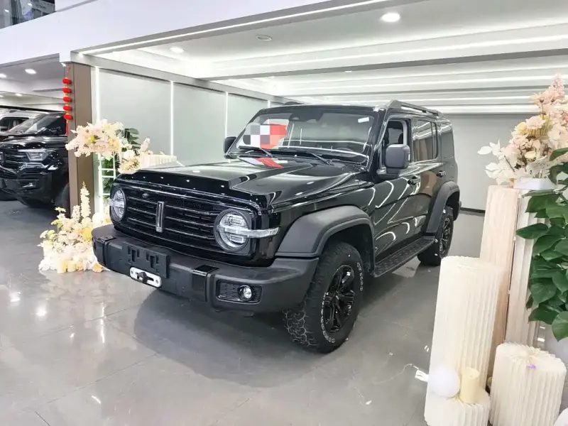 Tank 300