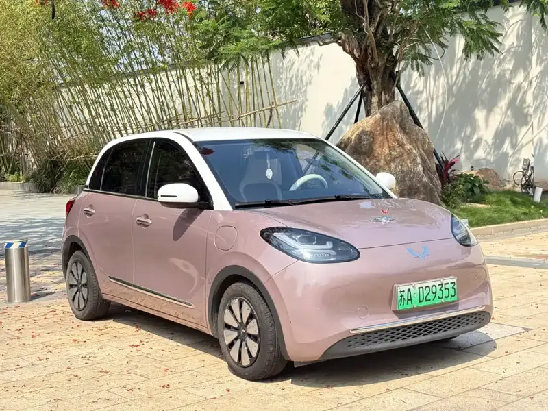 Wuling Bingo