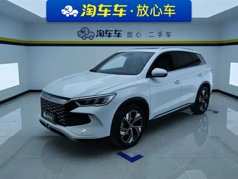 BYD Pro New Energy