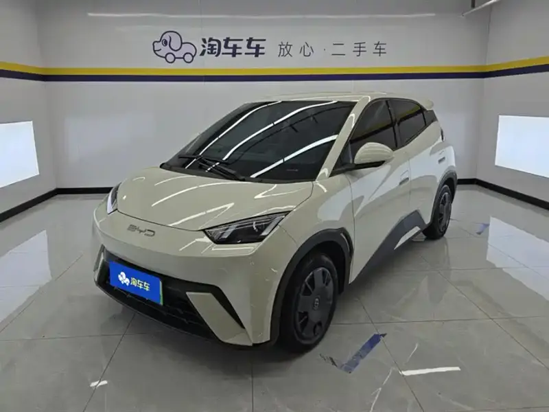 BYD Seagull