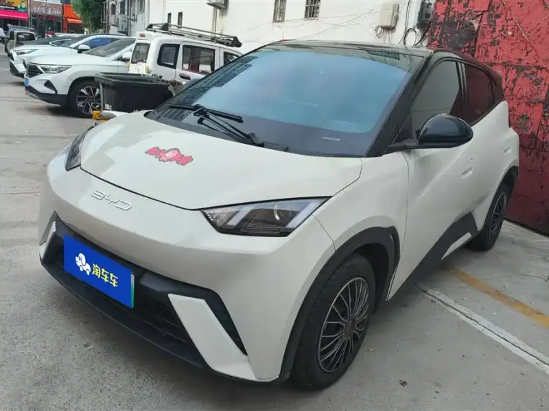 BYD Seagull
