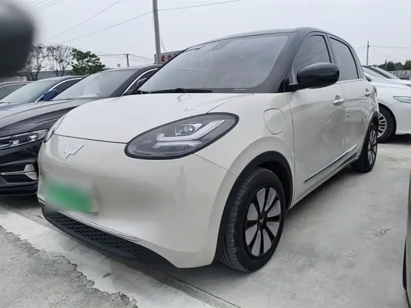 Wuling Bingo