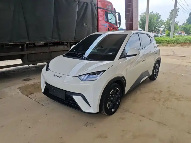 BYD Seagull