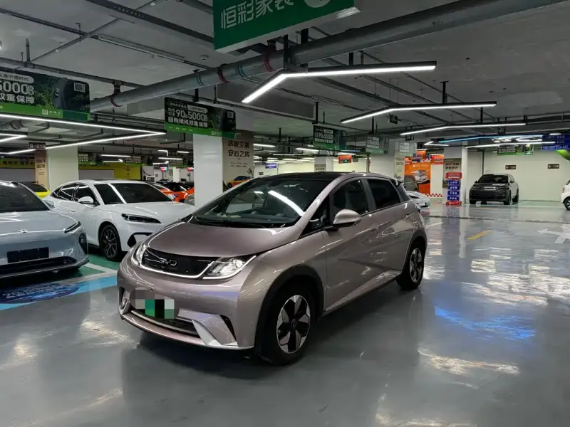 BYD Dolphin