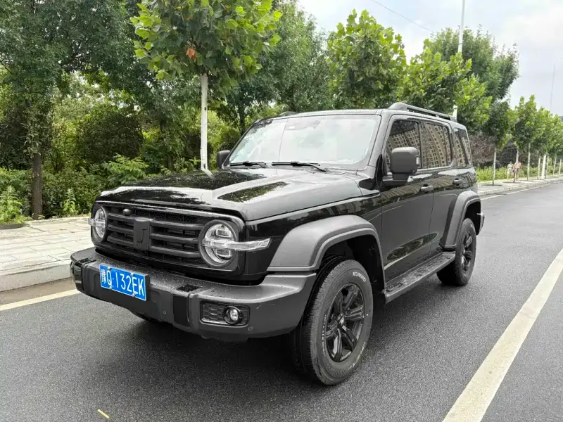 Tank 300