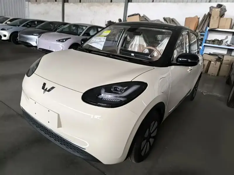 Wuling Bingo