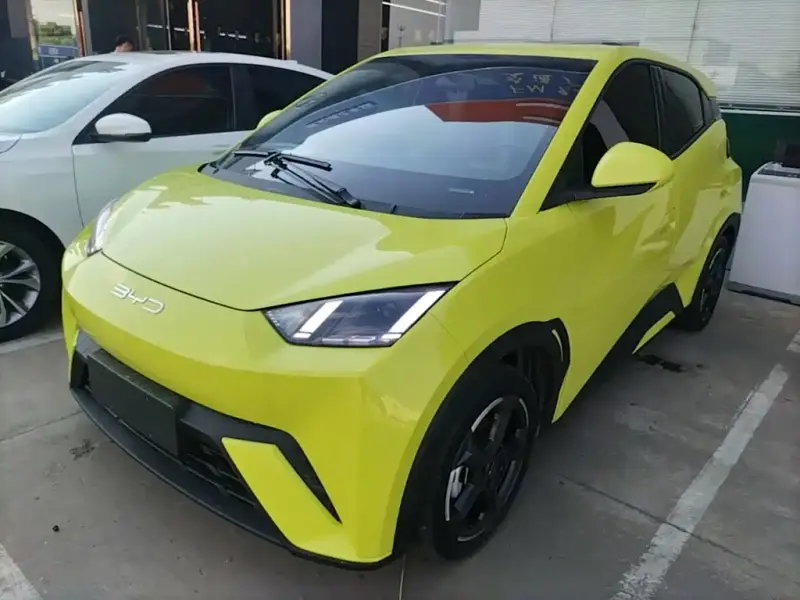 BYD Seagull