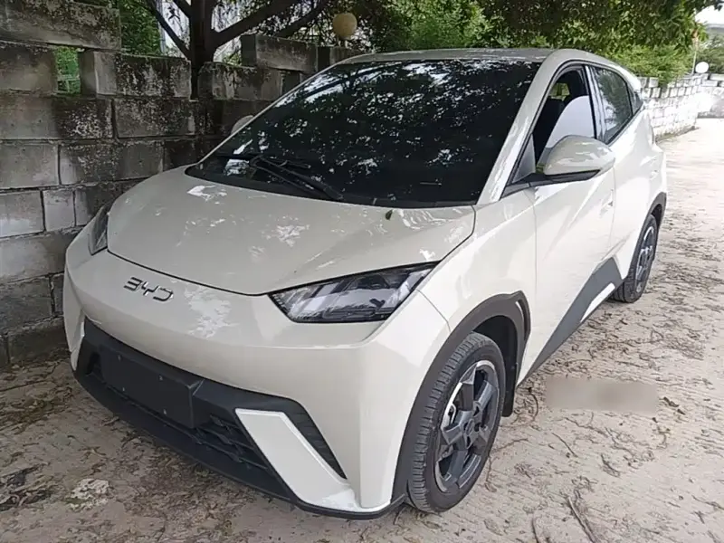 BYD Seagull