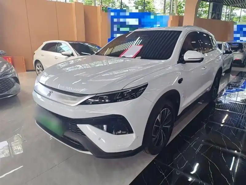 BYD Pro New Energy