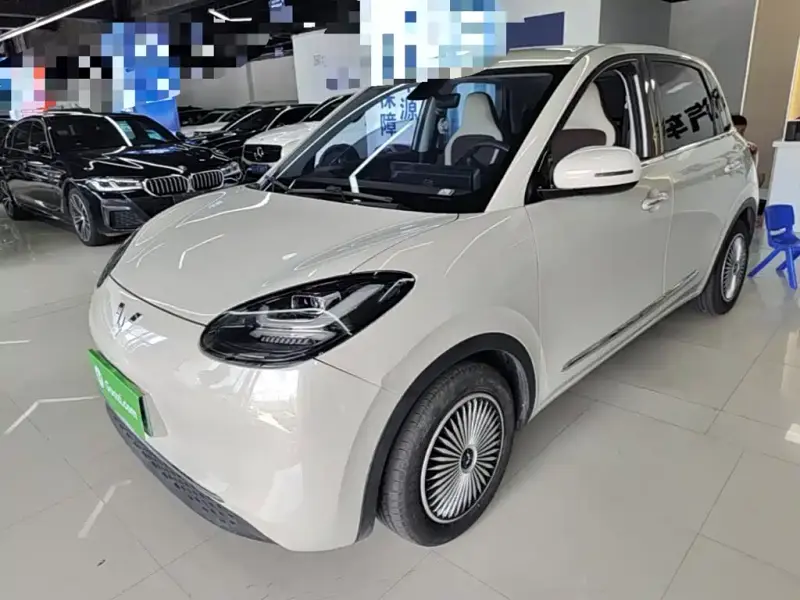 Wuling Bingo