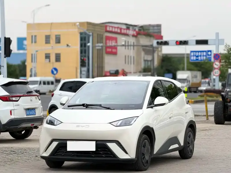 BYD Seagull