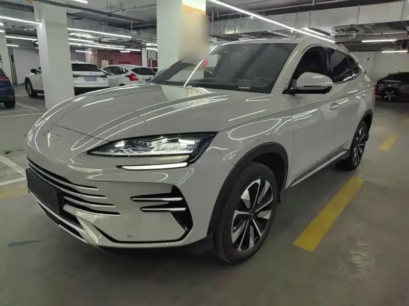 BYD Seal U (PLUS New Energy)