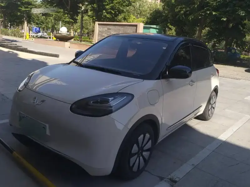 Wuling Bingo