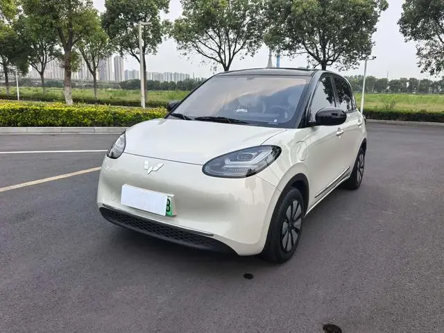 Wuling Bingo